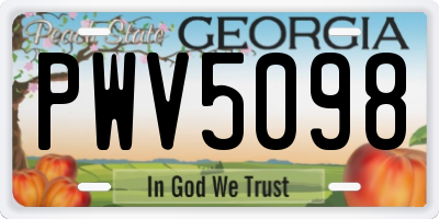GA license plate PWV5098