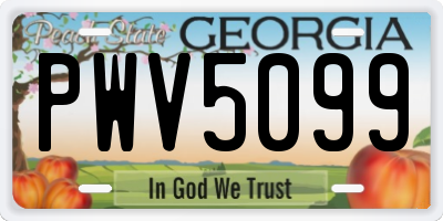 GA license plate PWV5099