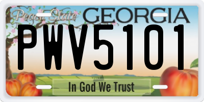 GA license plate PWV5101