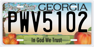 GA license plate PWV5102