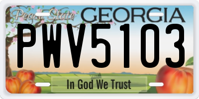 GA license plate PWV5103