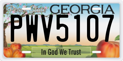 GA license plate PWV5107