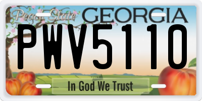 GA license plate PWV5110