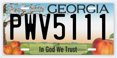 GA license plate PWV5111