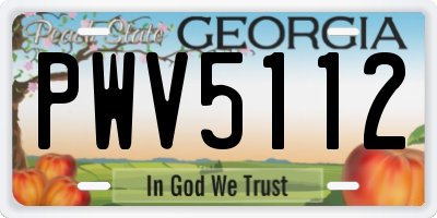 GA license plate PWV5112