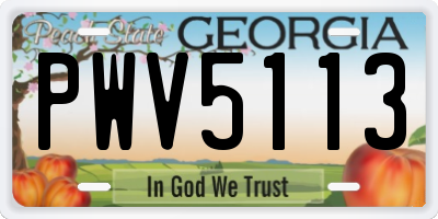GA license plate PWV5113