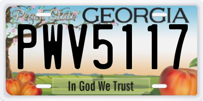 GA license plate PWV5117