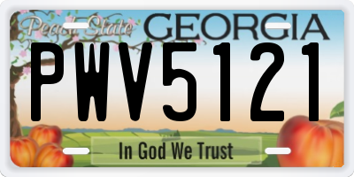 GA license plate PWV5121