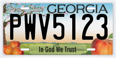 GA license plate PWV5123