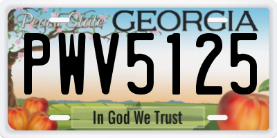 GA license plate PWV5125