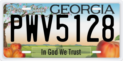 GA license plate PWV5128