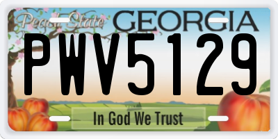 GA license plate PWV5129