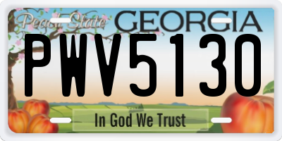 GA license plate PWV5130