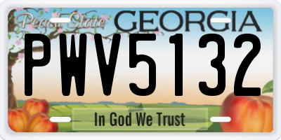 GA license plate PWV5132
