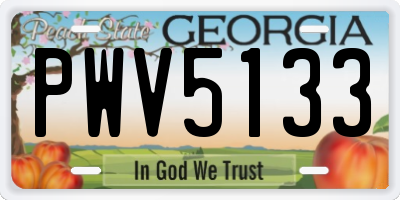 GA license plate PWV5133