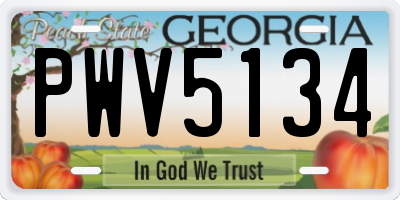 GA license plate PWV5134