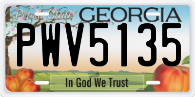 GA license plate PWV5135