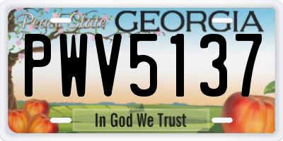 GA license plate PWV5137