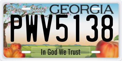 GA license plate PWV5138