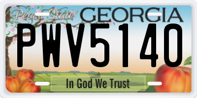GA license plate PWV5140