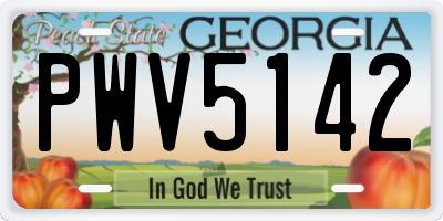 GA license plate PWV5142