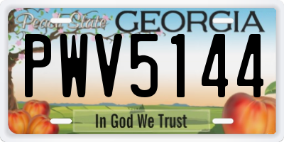 GA license plate PWV5144