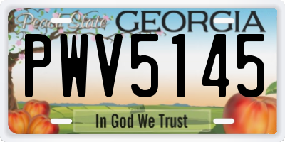 GA license plate PWV5145