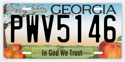 GA license plate PWV5146