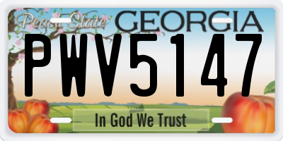GA license plate PWV5147