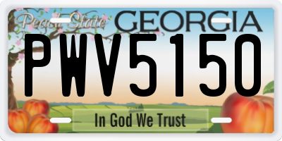 GA license plate PWV5150