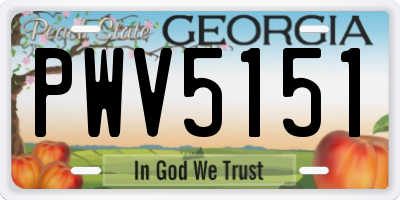 GA license plate PWV5151
