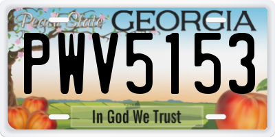 GA license plate PWV5153