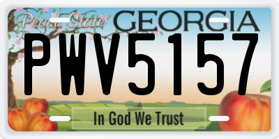 GA license plate PWV5157