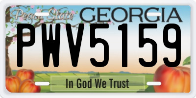 GA license plate PWV5159