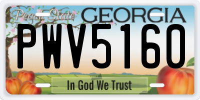 GA license plate PWV5160