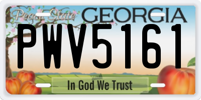 GA license plate PWV5161