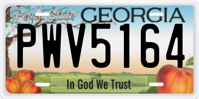 GA license plate PWV5164