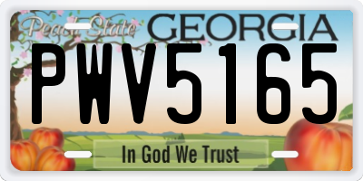 GA license plate PWV5165