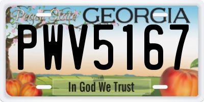 GA license plate PWV5167