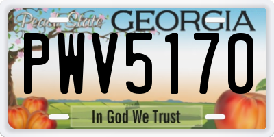 GA license plate PWV5170