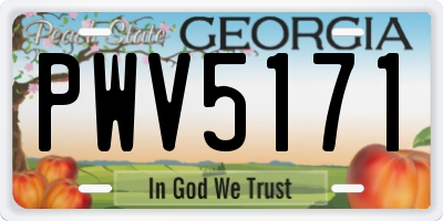 GA license plate PWV5171