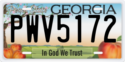 GA license plate PWV5172