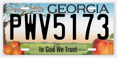 GA license plate PWV5173