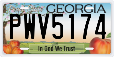 GA license plate PWV5174
