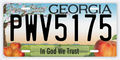 GA license plate PWV5175