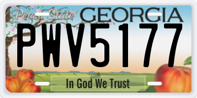 GA license plate PWV5177