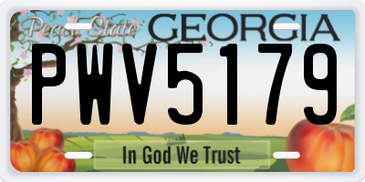 GA license plate PWV5179
