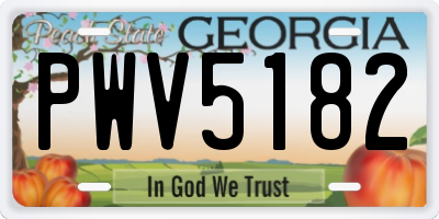 GA license plate PWV5182