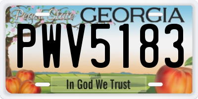 GA license plate PWV5183