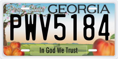 GA license plate PWV5184